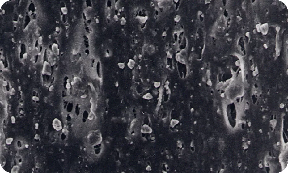 全面通気性シートの電子顕微鏡拡大図